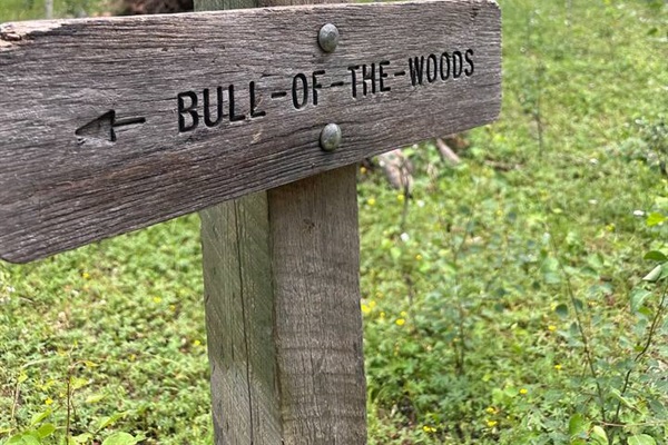 Bull of the Woods Trailhead