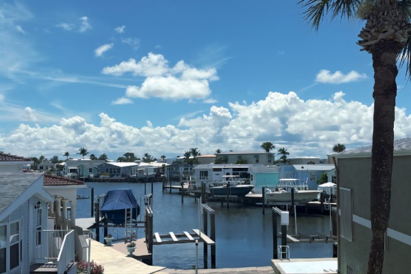 View from the Kitchen