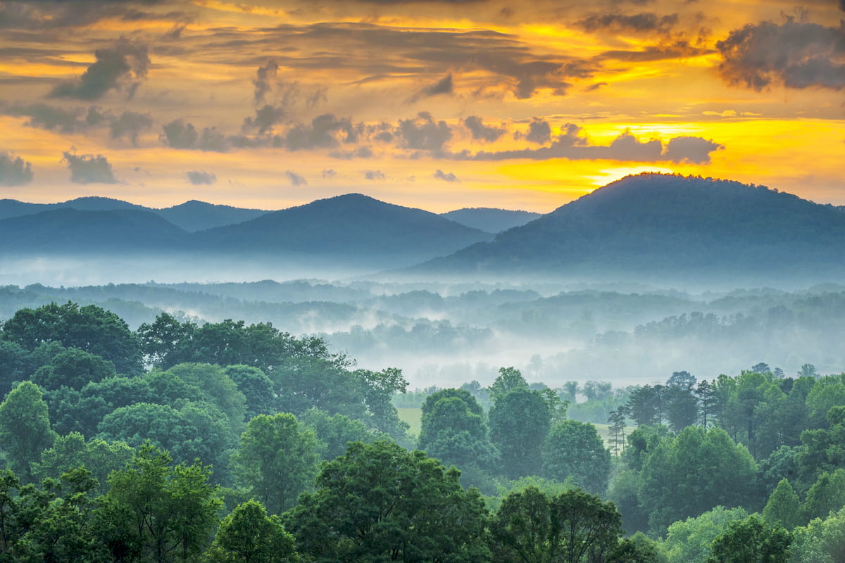 {Pisgah Forest} Surrounded by one of North Carolina's most breathtaking landscapes, Pisgah Forest offers endless waterfalls, scenic drives, mountain views, and unforgettable outdoor adventures just beyond your doorstep.