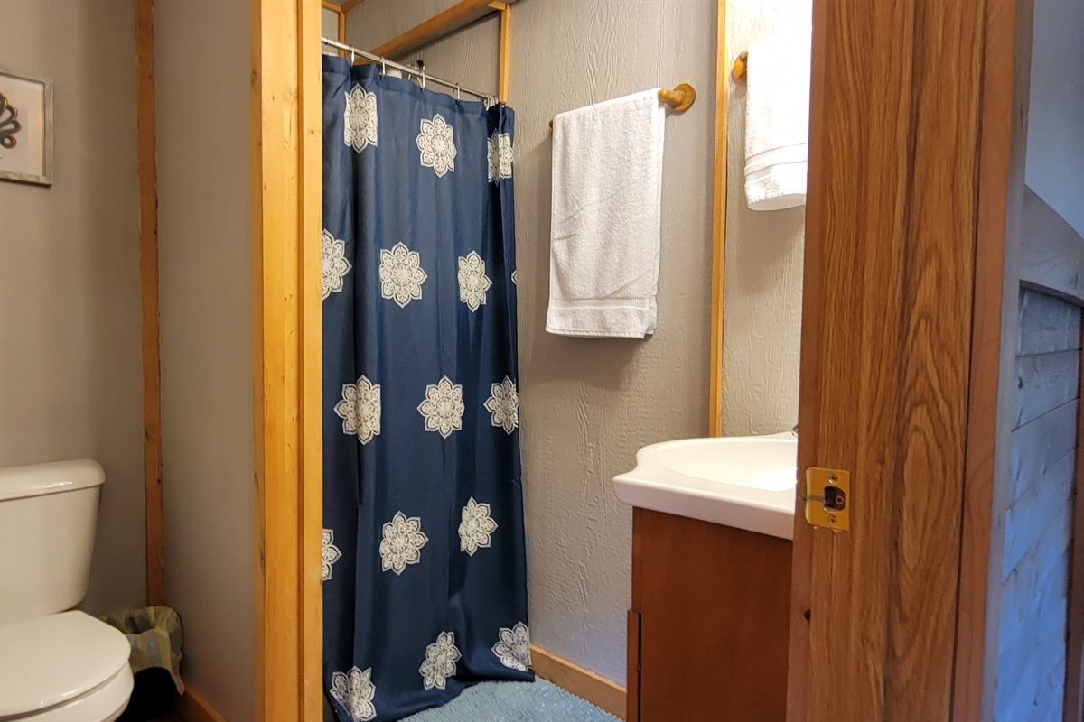 1 bathroom with upright shower