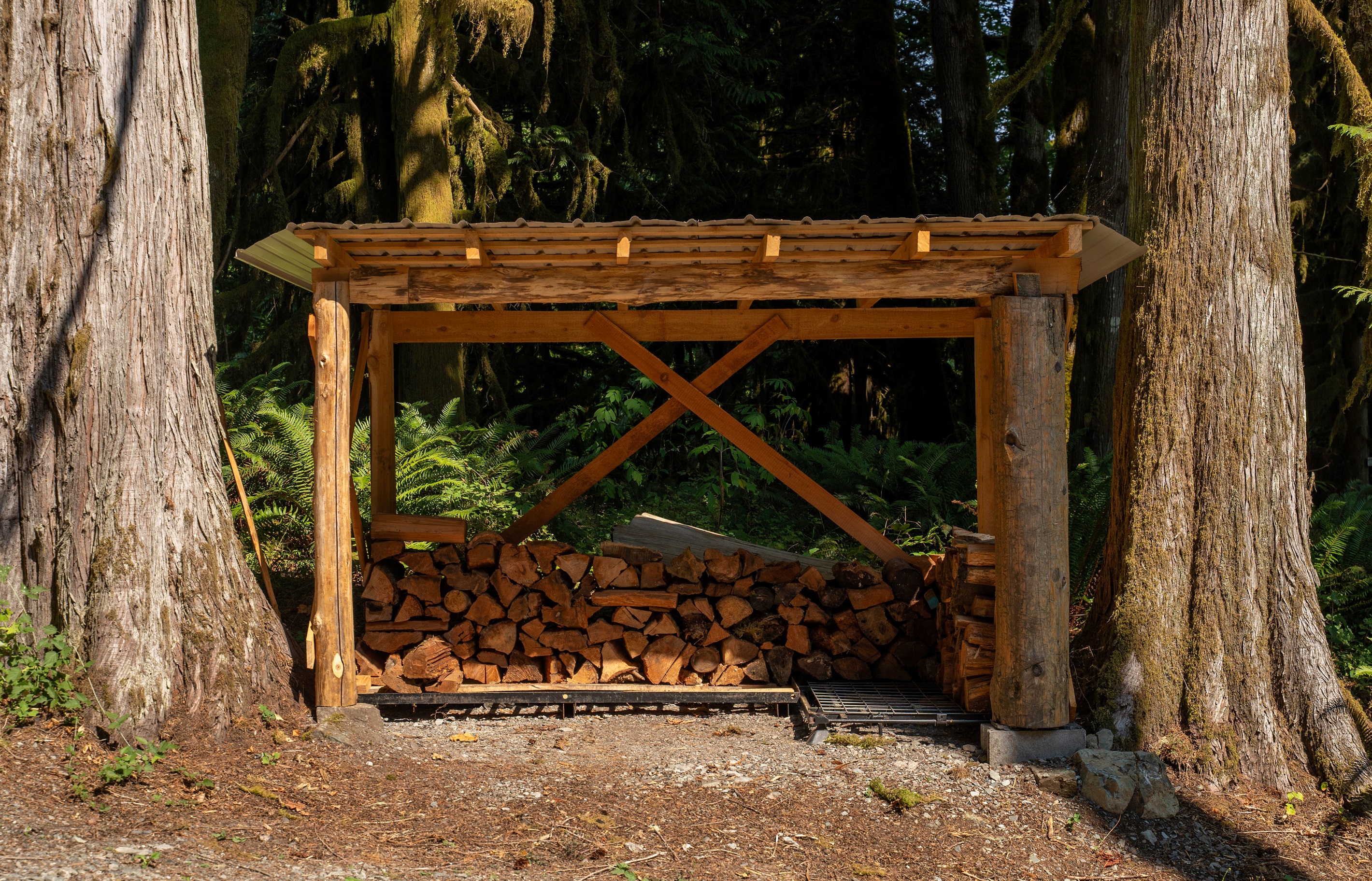Plenty of firewood available