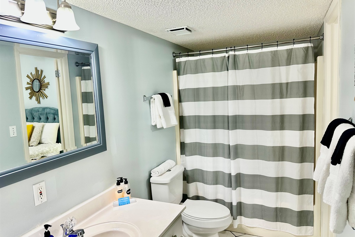 The guest bathroom features a tub/shower combo and lots of counter space!