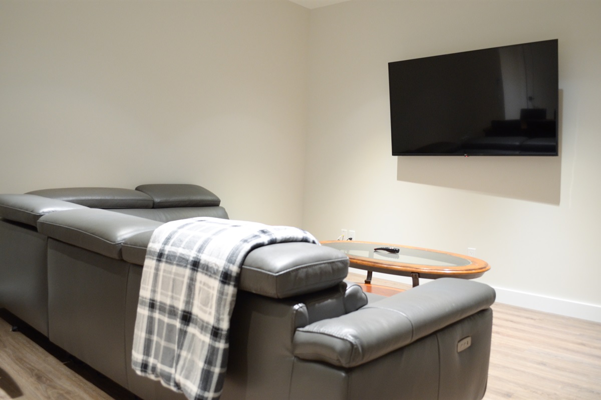 Large screen smart TV