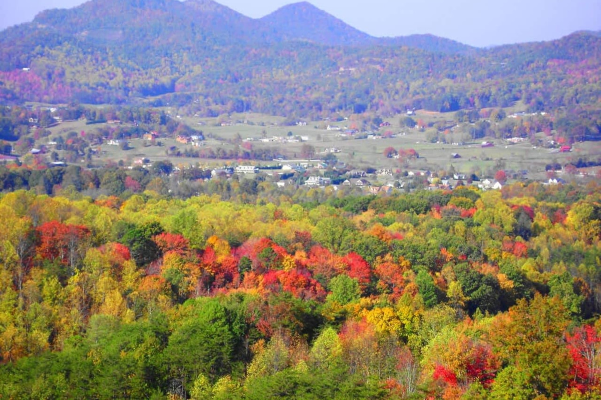 Fall colors