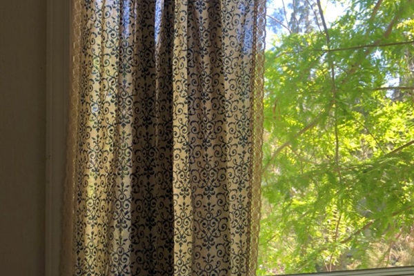 Lush trees surround the property