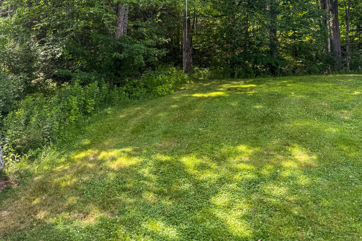 Keep your pets secure using the overhead dog tether run system located at the edge of the grassy backyard. This pet-friendly amenity features a long trolley cable line suspended between mature trees, right next to the open lawn play area.