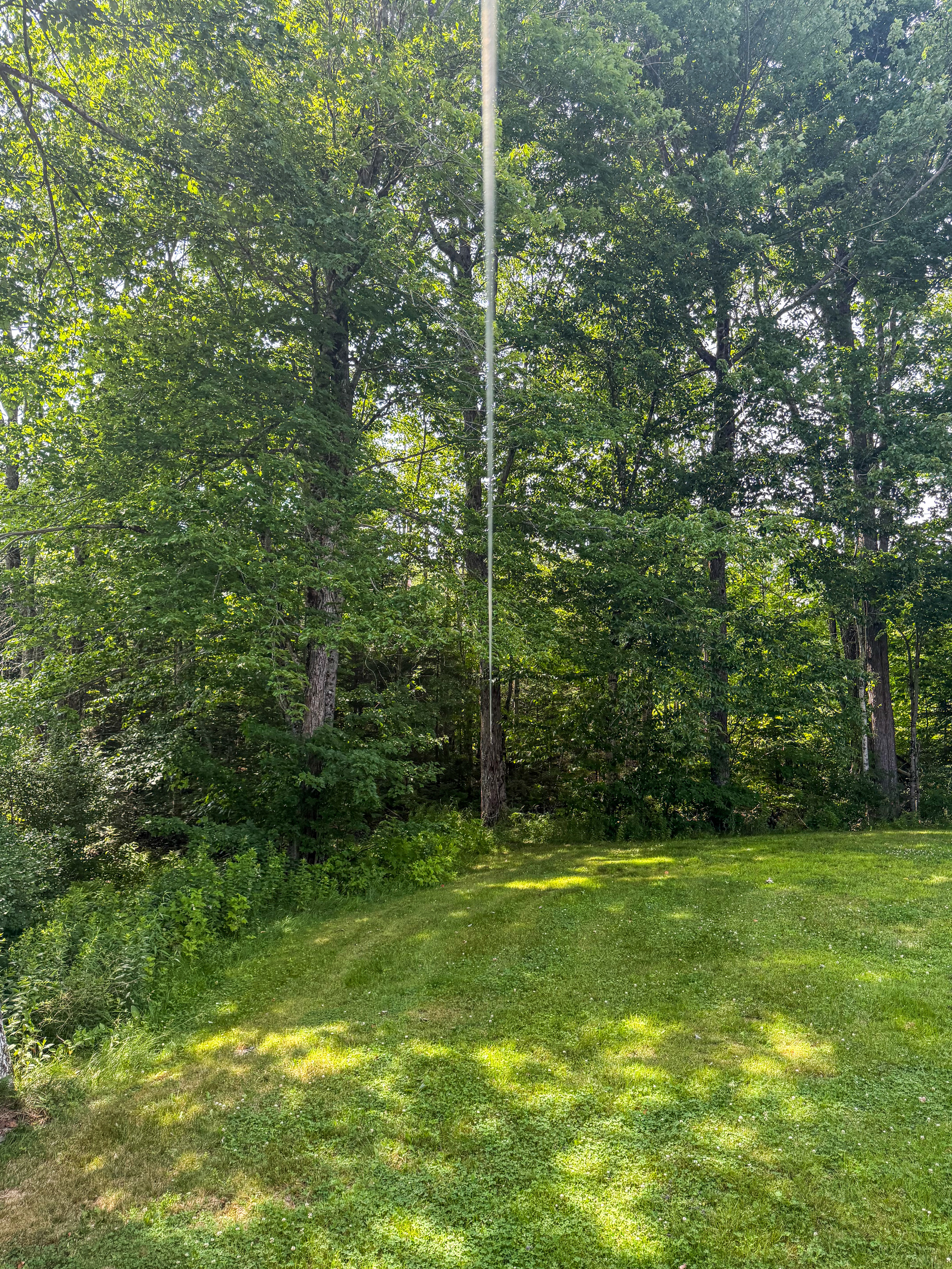 Keep your pets secure using the overhead dog tether run system located at the edge of the grassy backyard. This pet-friendly amenity features a long trolley cable line suspended between mature trees, right next to the open lawn play area.