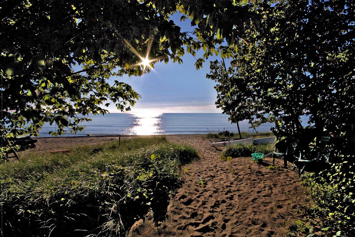 649ce2f201a44294a0daea94789bdb57 Large