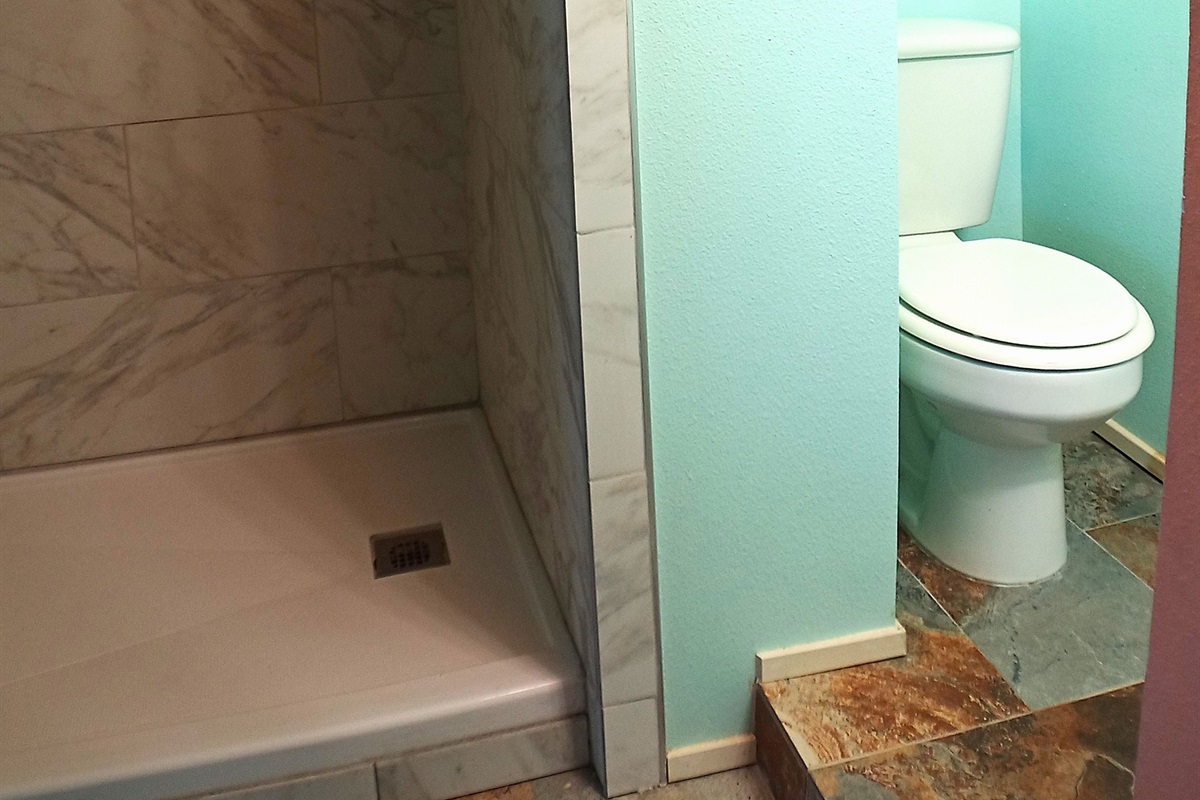 Downstairs bath has step in shower