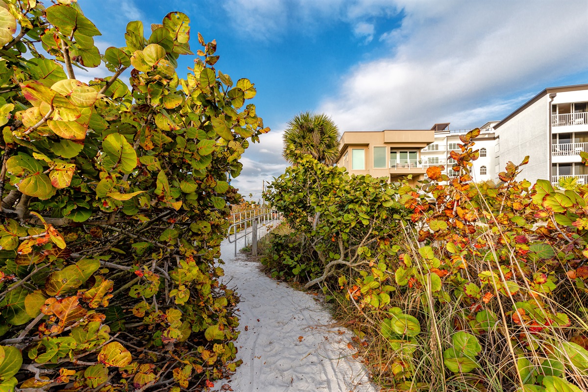 Great walking paths