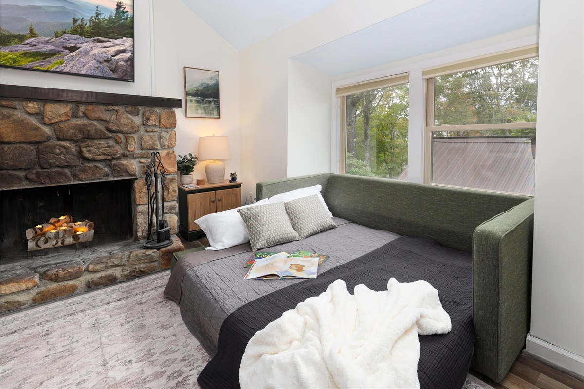 Double Pull Out Couch in Living Room