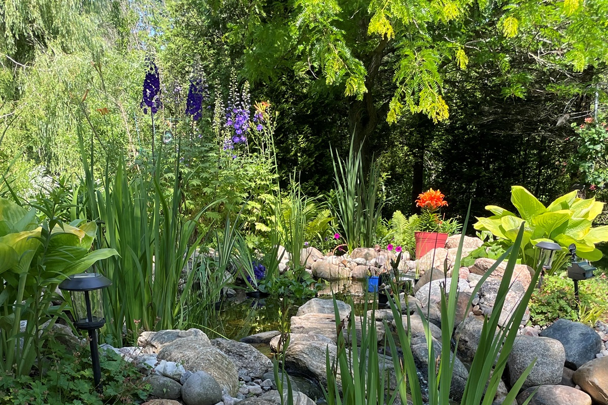 Blooming Berm!
