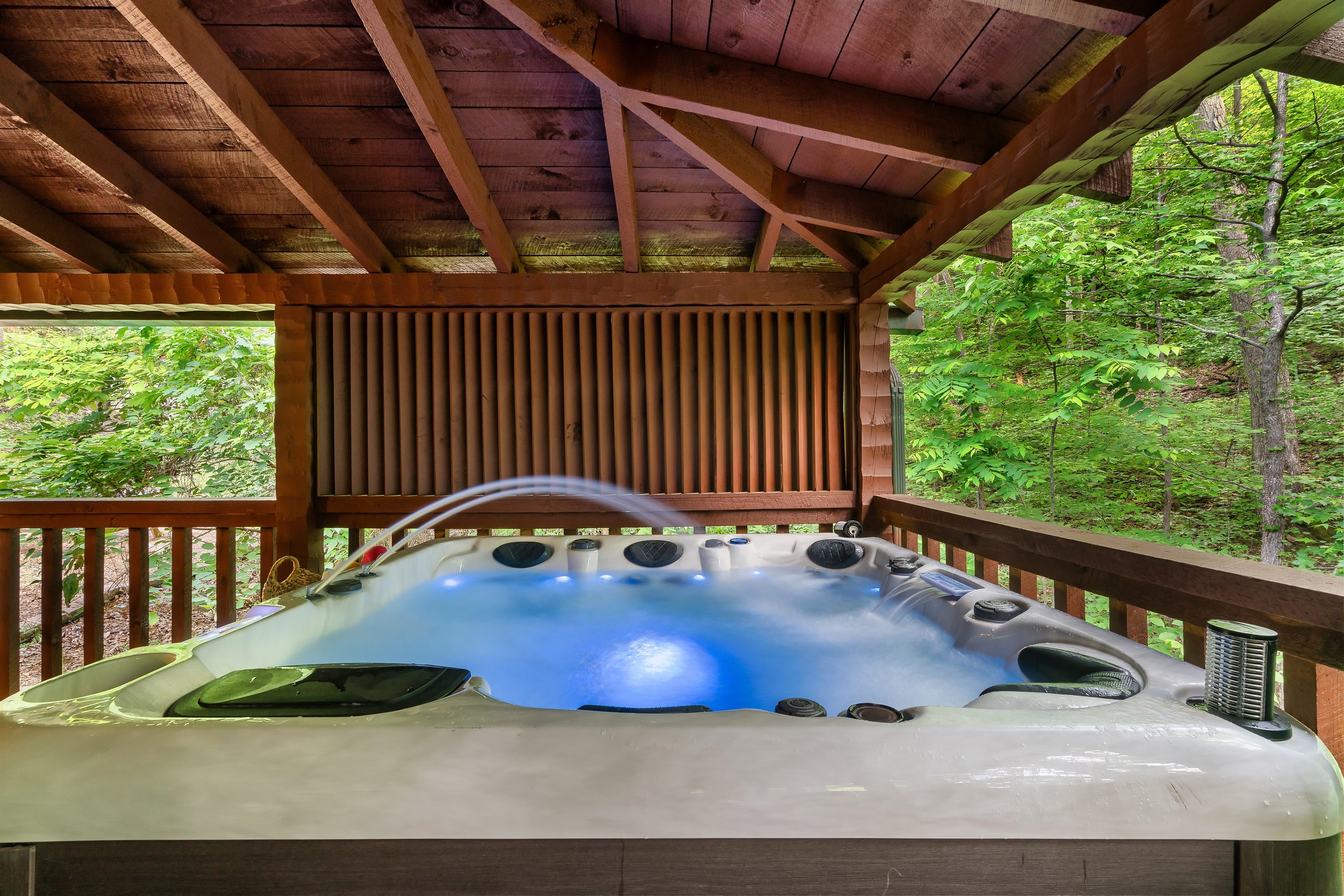 Black Bear Retreat Pigeon Forge TN — Pigeon Forge, Tennessee — vacation rental