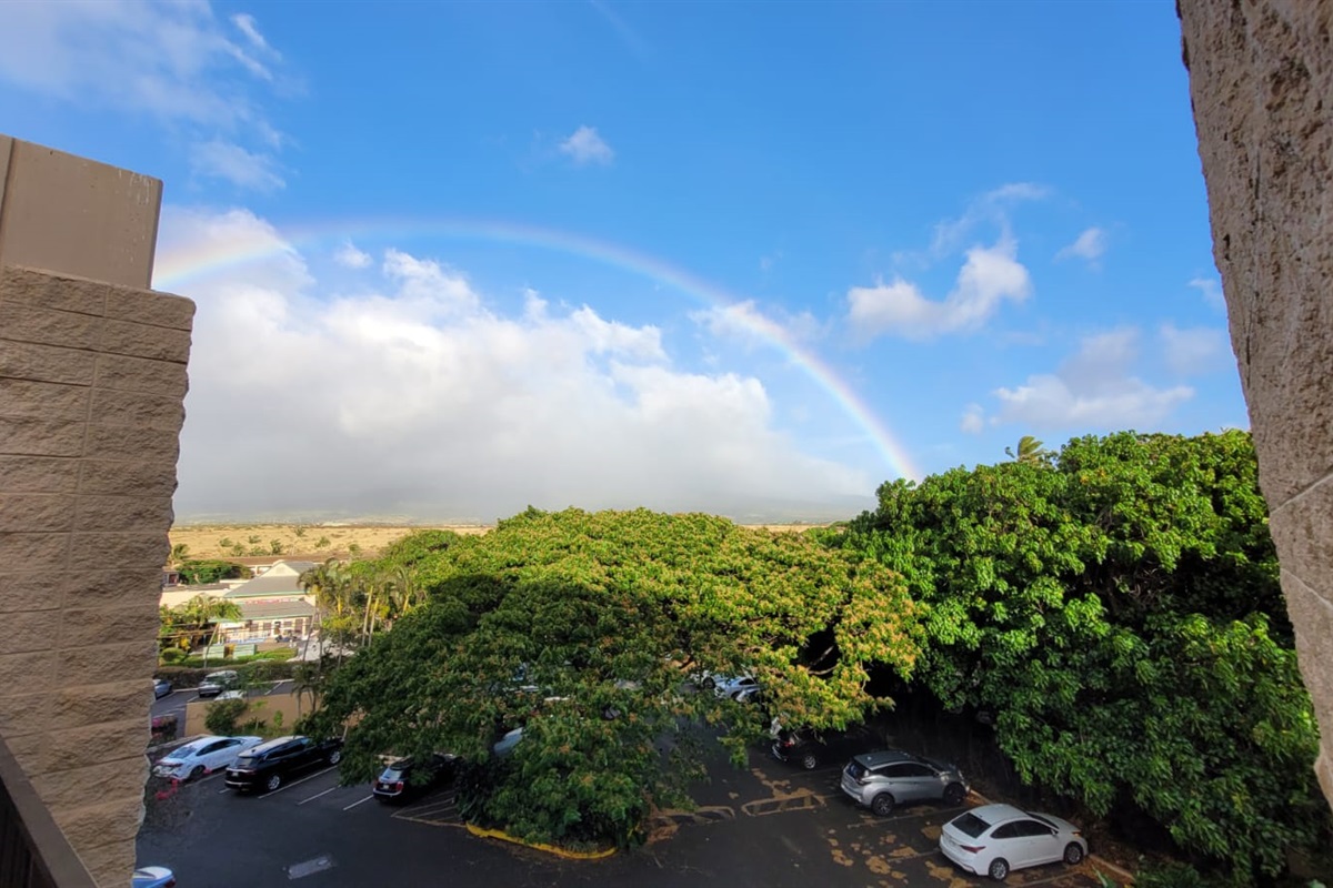 RAINBOW