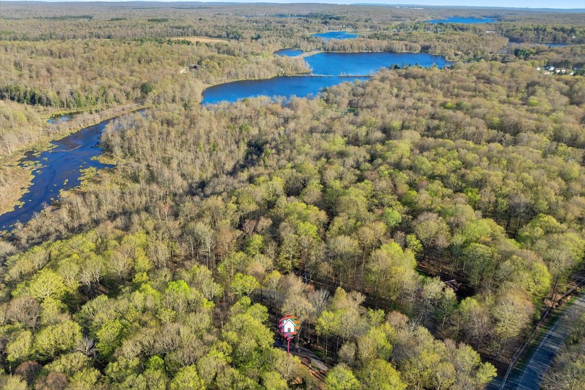 “A forest retreat on the edge of Larsen Lake — private and peaceful.”