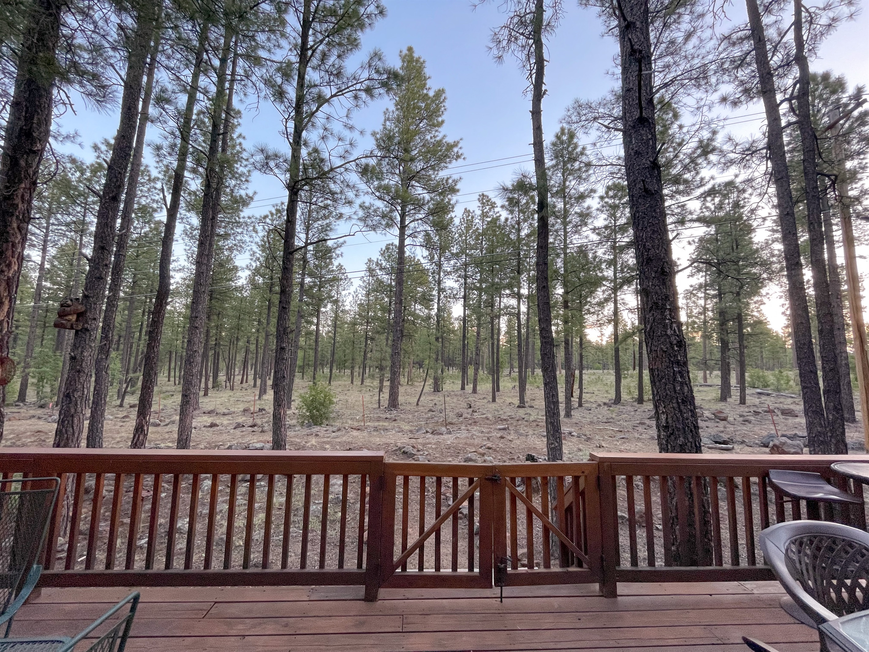 Backs up to the National Forest