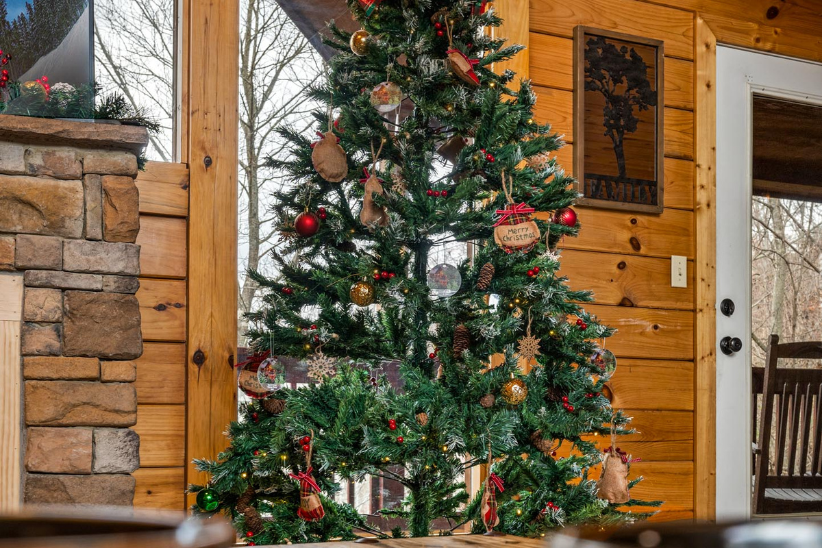 🎄Christmas starts here.