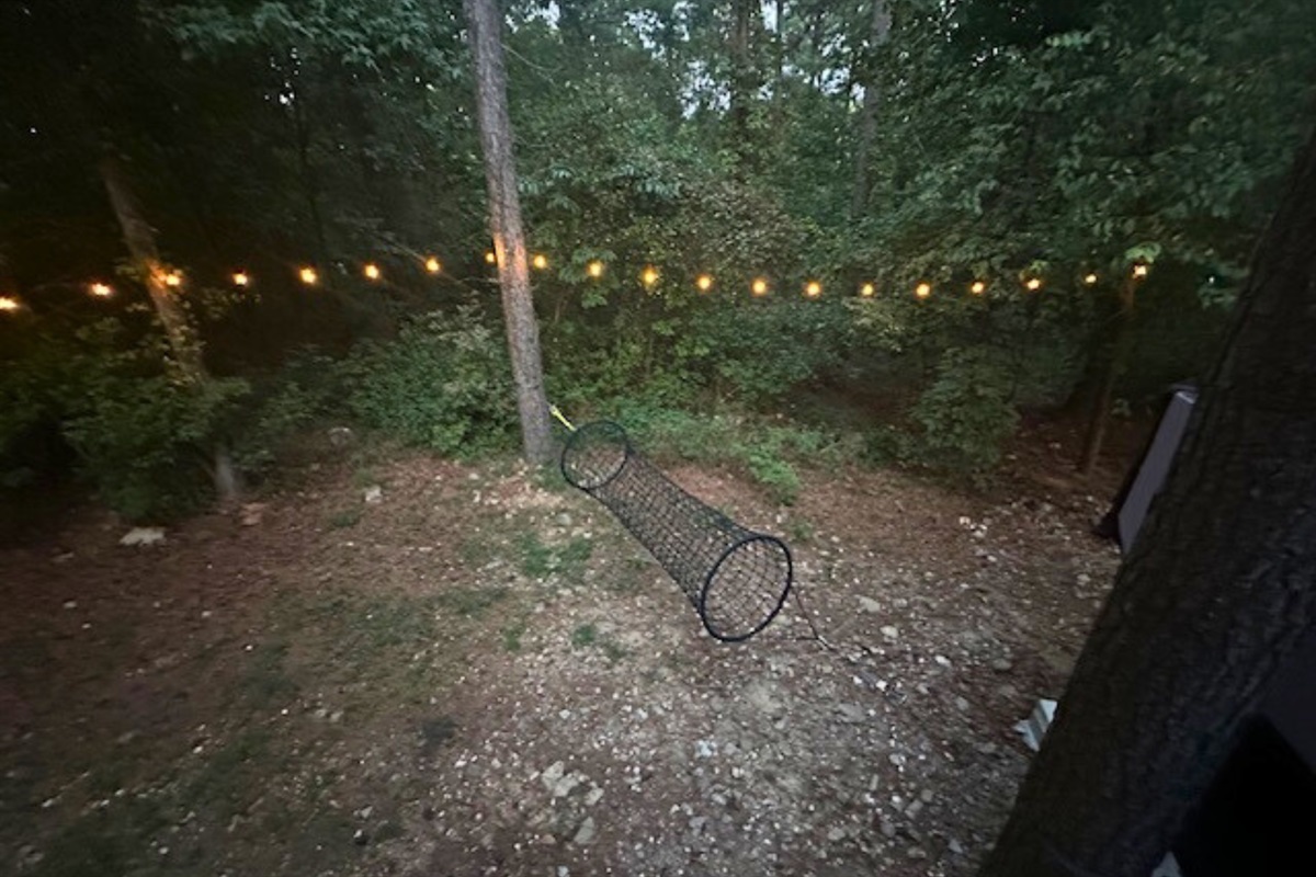 Enjoy peaceful forest views with warm outdoor string lights creating a magical evening glow.