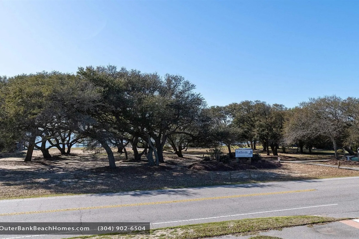 Scenic Natural Beauty — Lush Coastal Landscape Surrounding Port Trinitie | Duck, Outer Banks