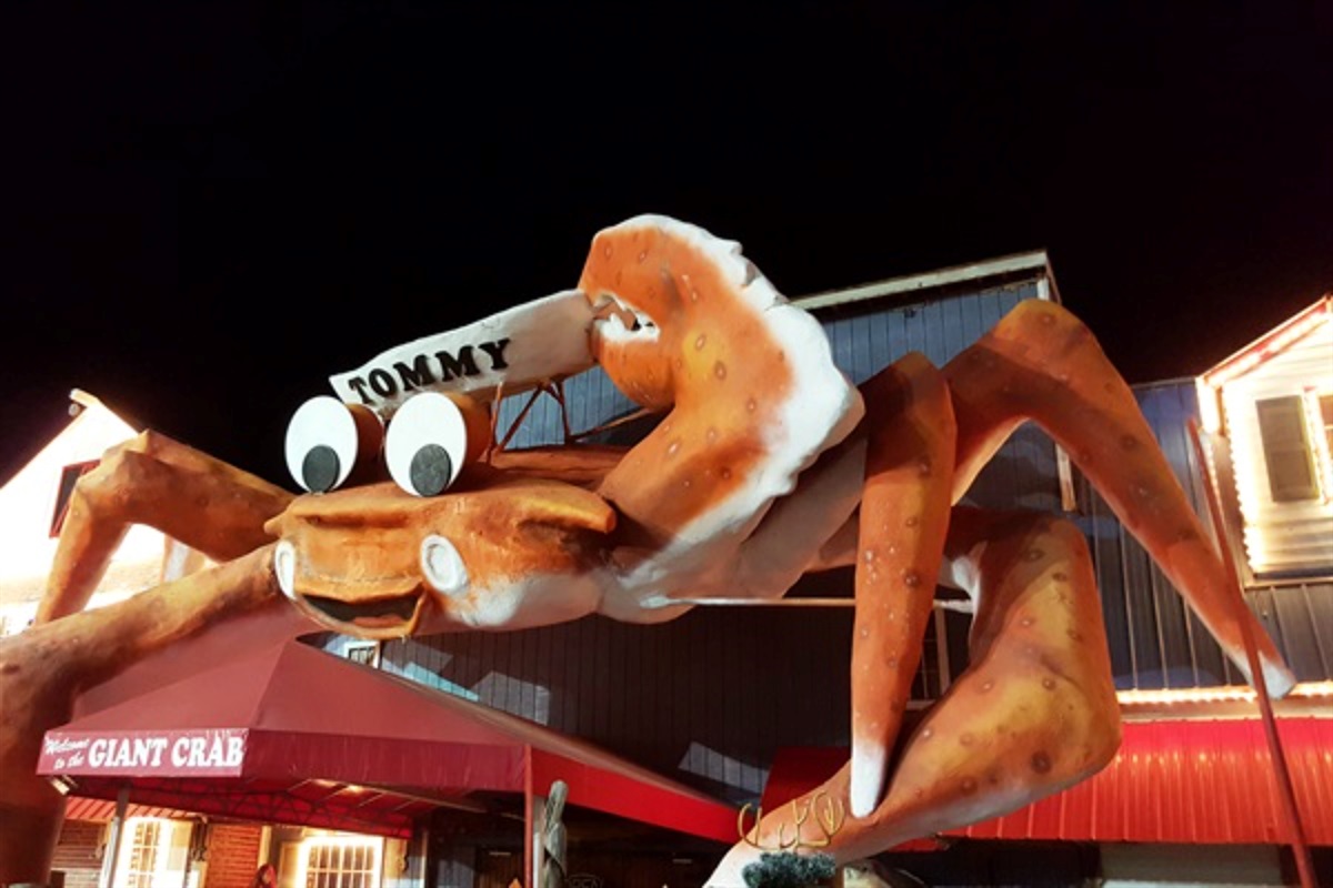 Short Drive to  Local Food and Attractions!