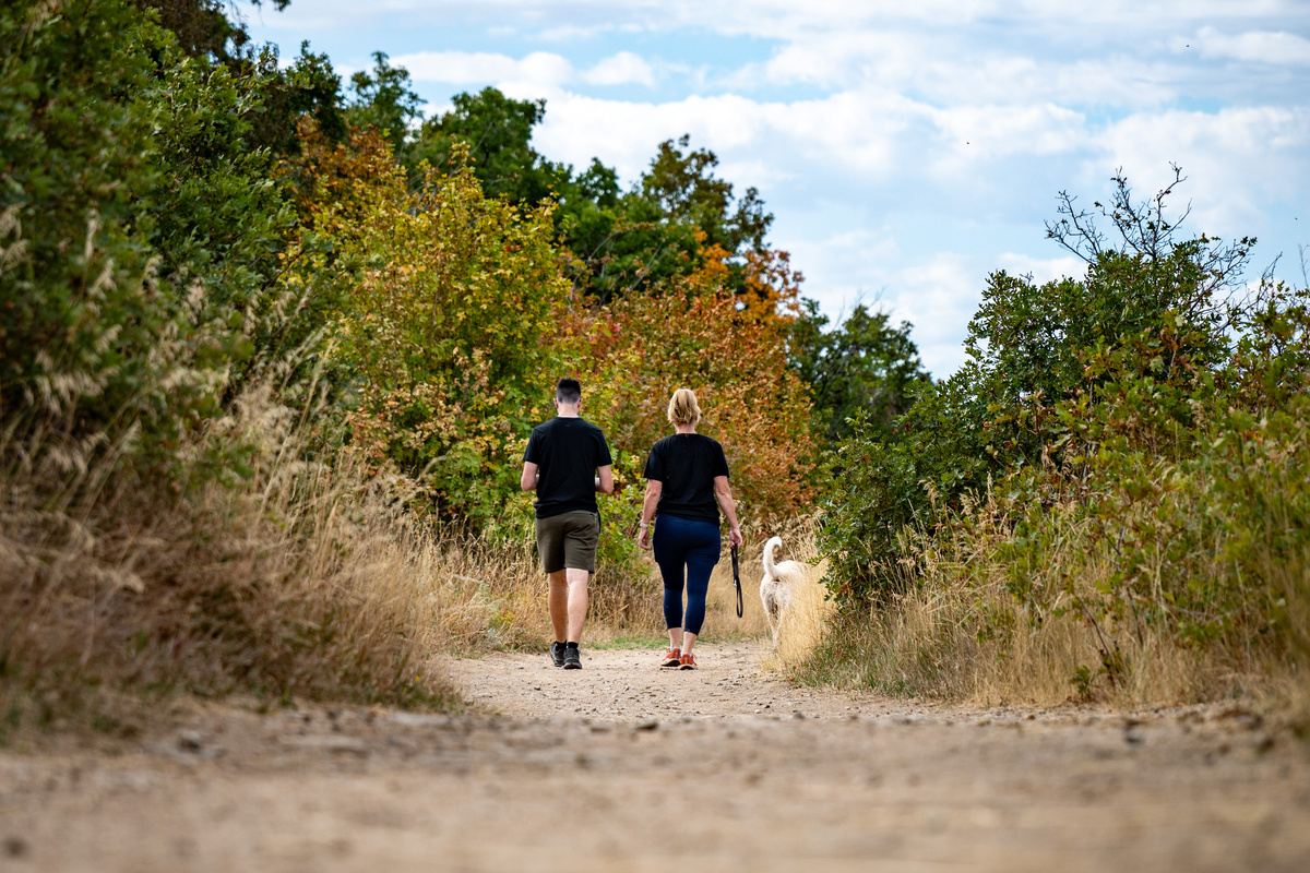 Miles of hiking and walking trails await just minutes from your Lakeside Village retreat.