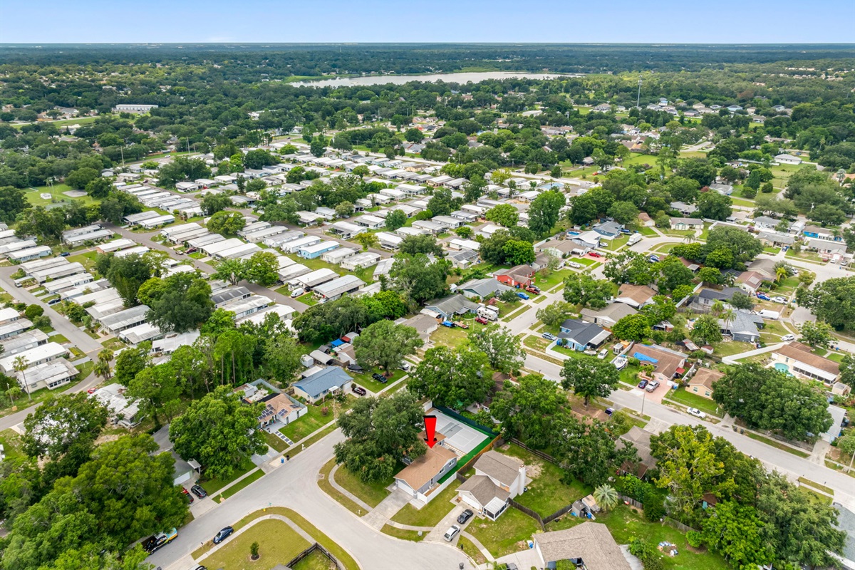Aerial View of the Neighborhood