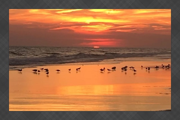 September Sunset