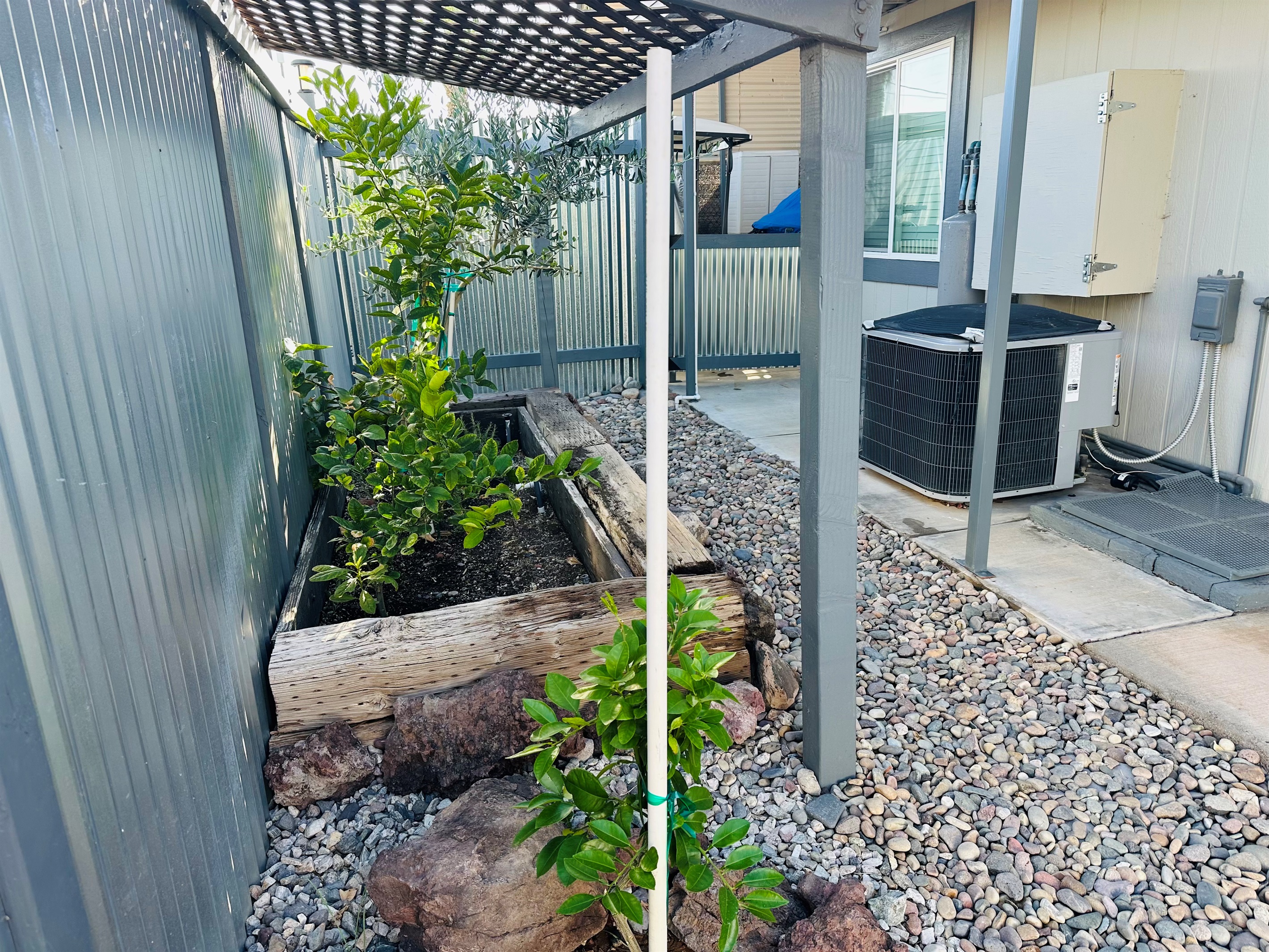 Front Courtyard, next to carport area in front of house