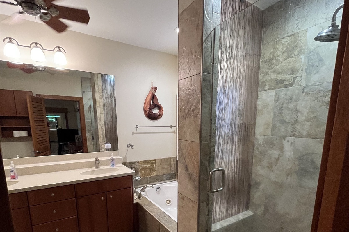 Downstairs bathroom (1) with a jetted tub and standing shower