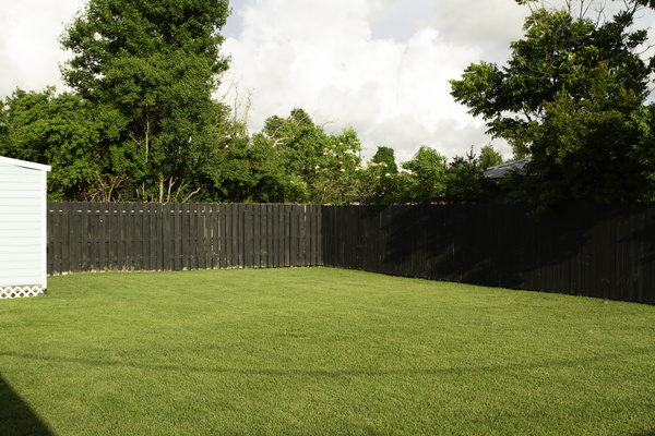 A view of the back yard facing the pool fence