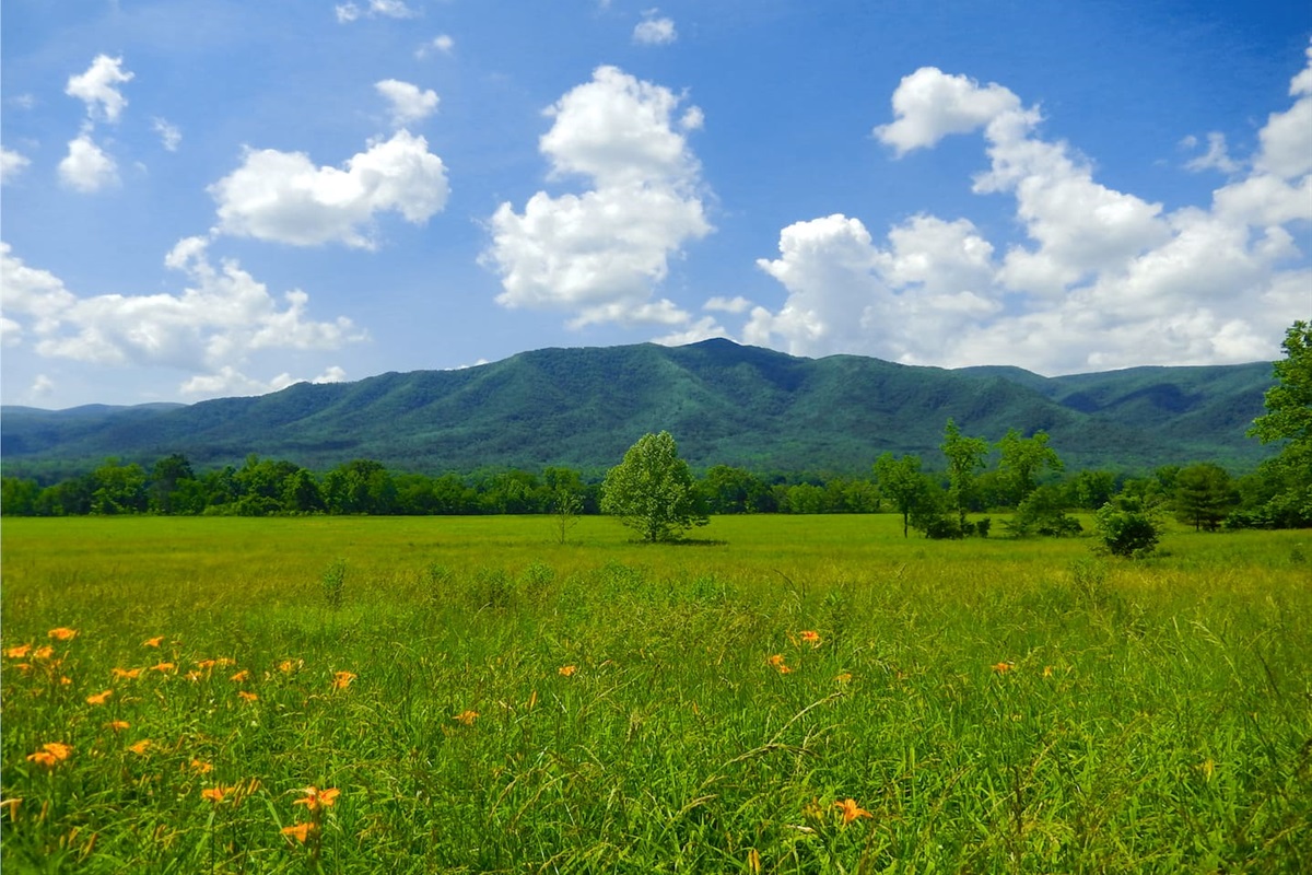 Open pasture in the Smoky Mountain National Park.
