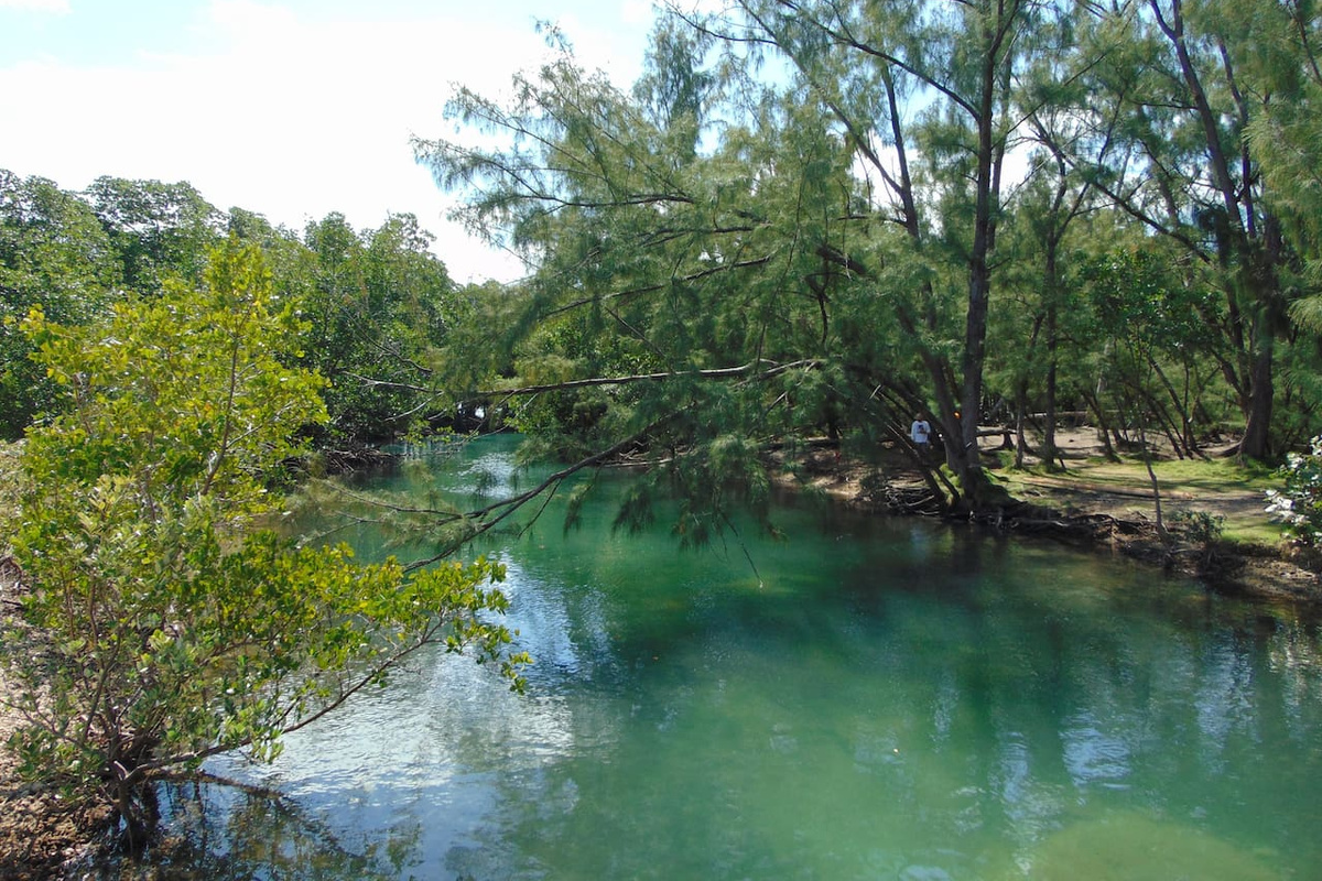 Arch Creek East Environmental Preserve