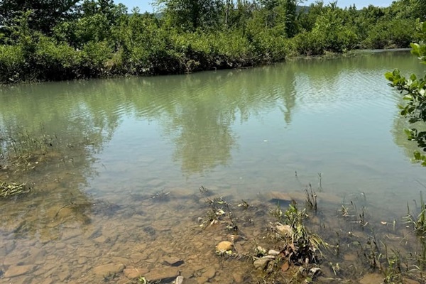 Shallow river area ideal for relaxing, exploring, or wildlife viewing (May 2025).