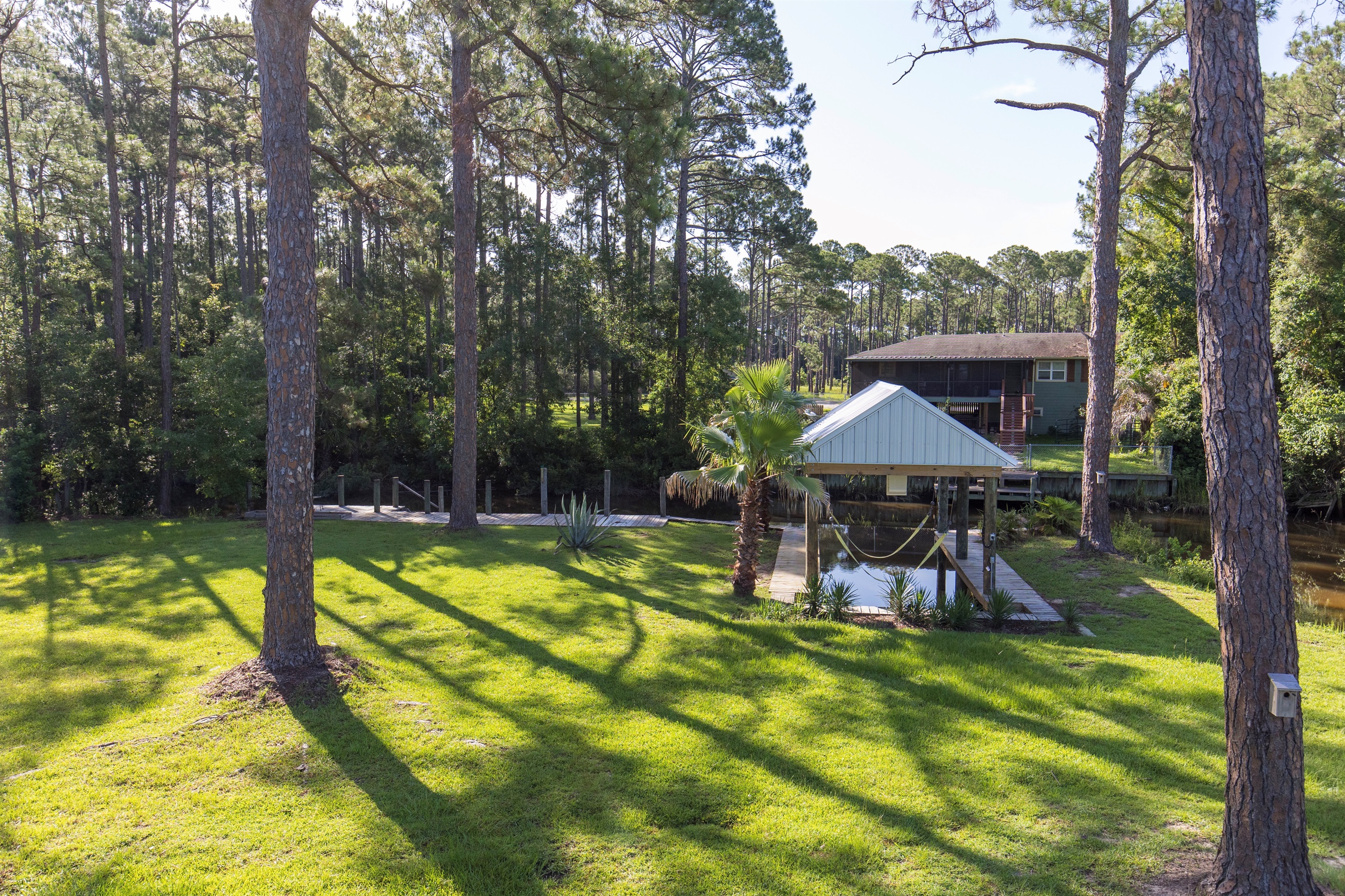 Backyard