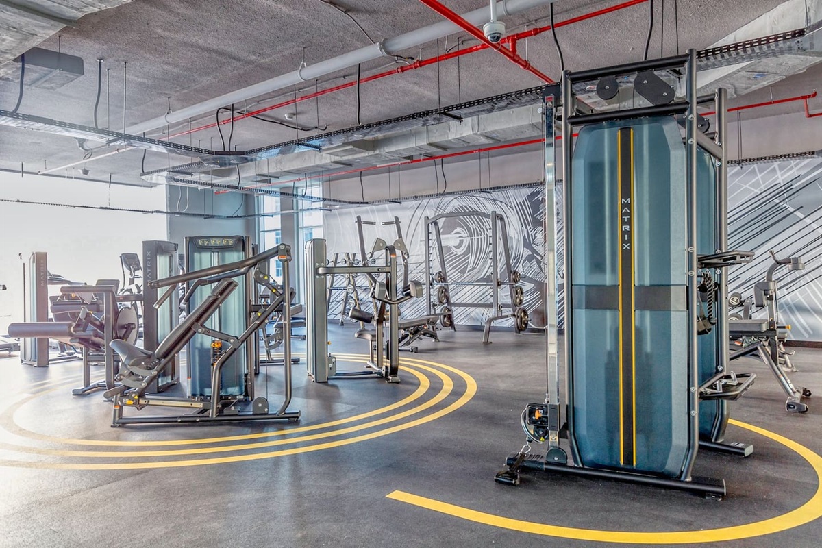Wonderful and modern gym