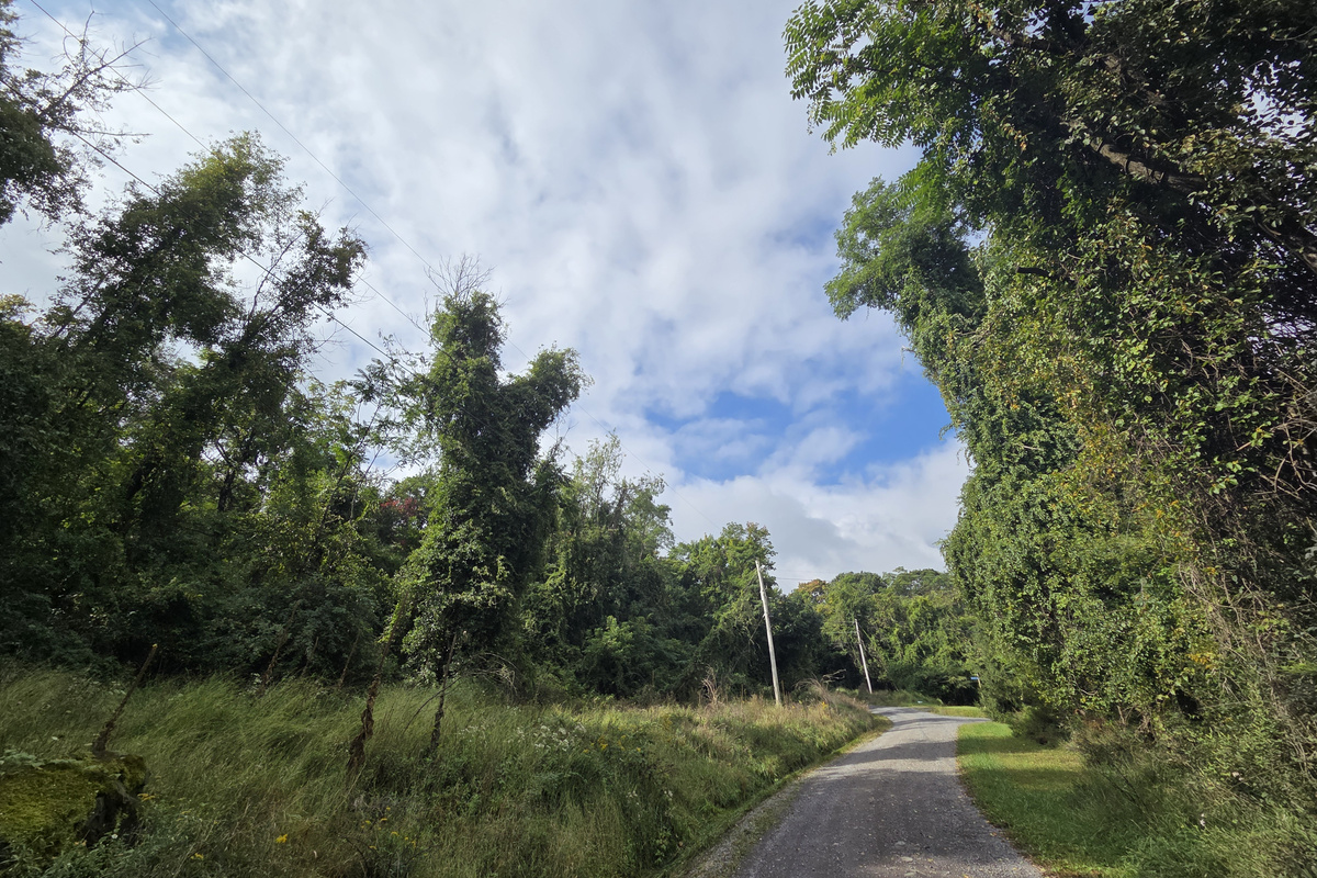 Mountain gravel road leading to the cabin