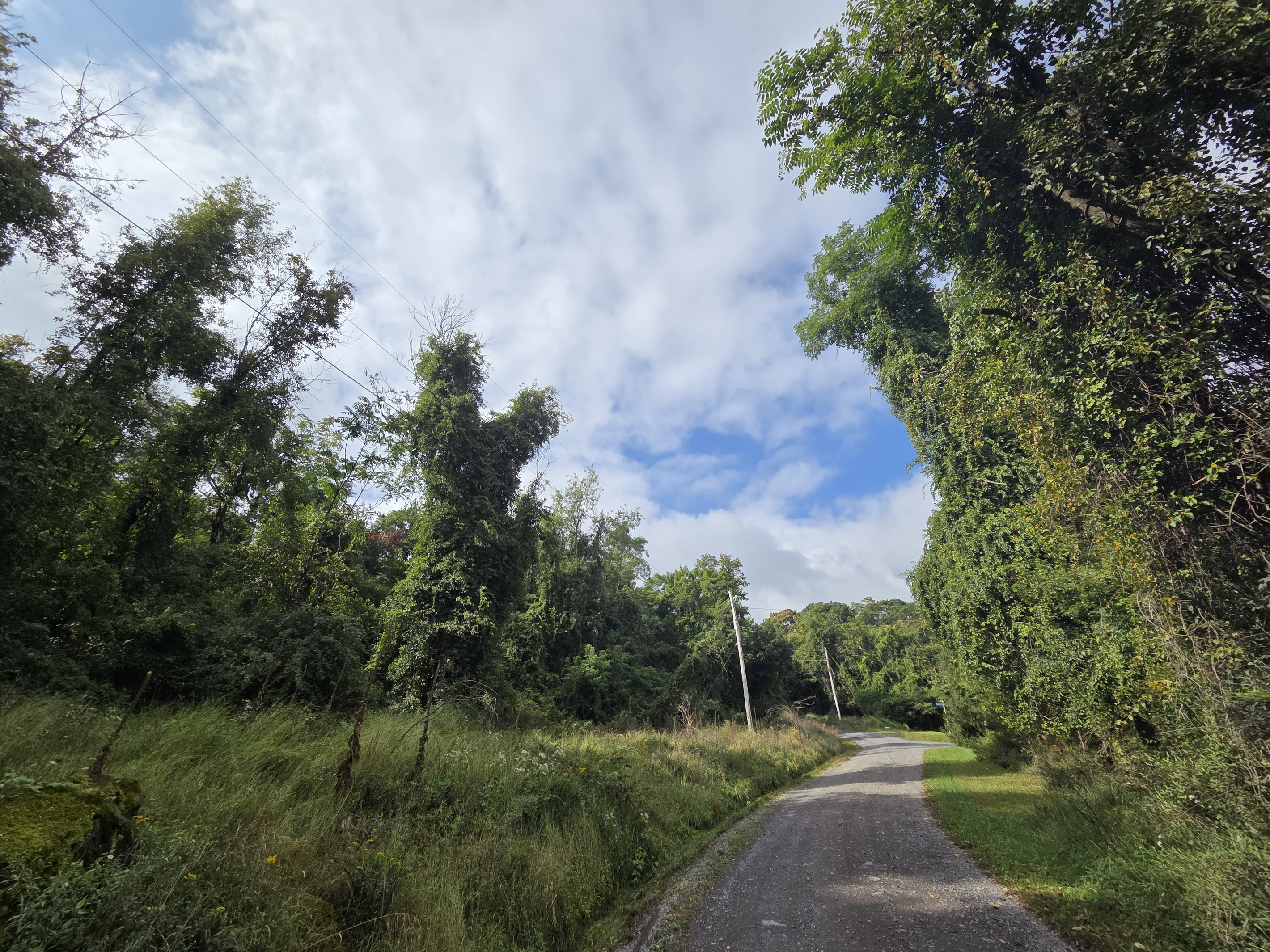 Mountain gravel road leading to the cabin