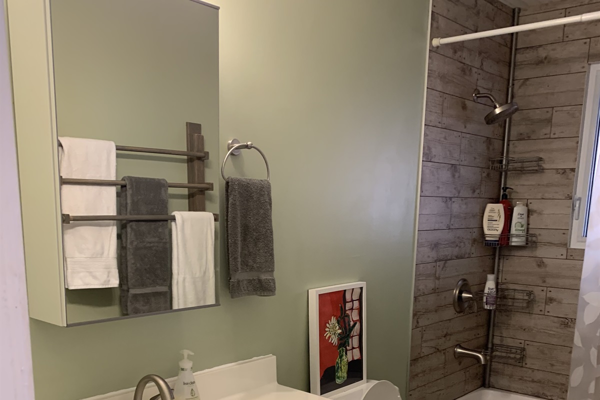 Bathroom with sink and counter