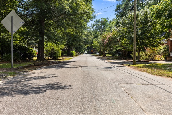 Quiet Tree-Lined Florence Street