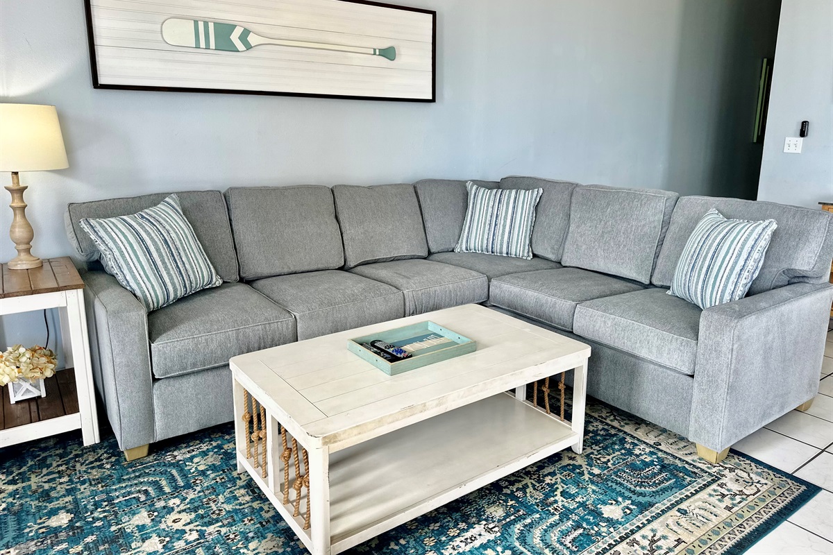 New sectional/sleeper sofa!