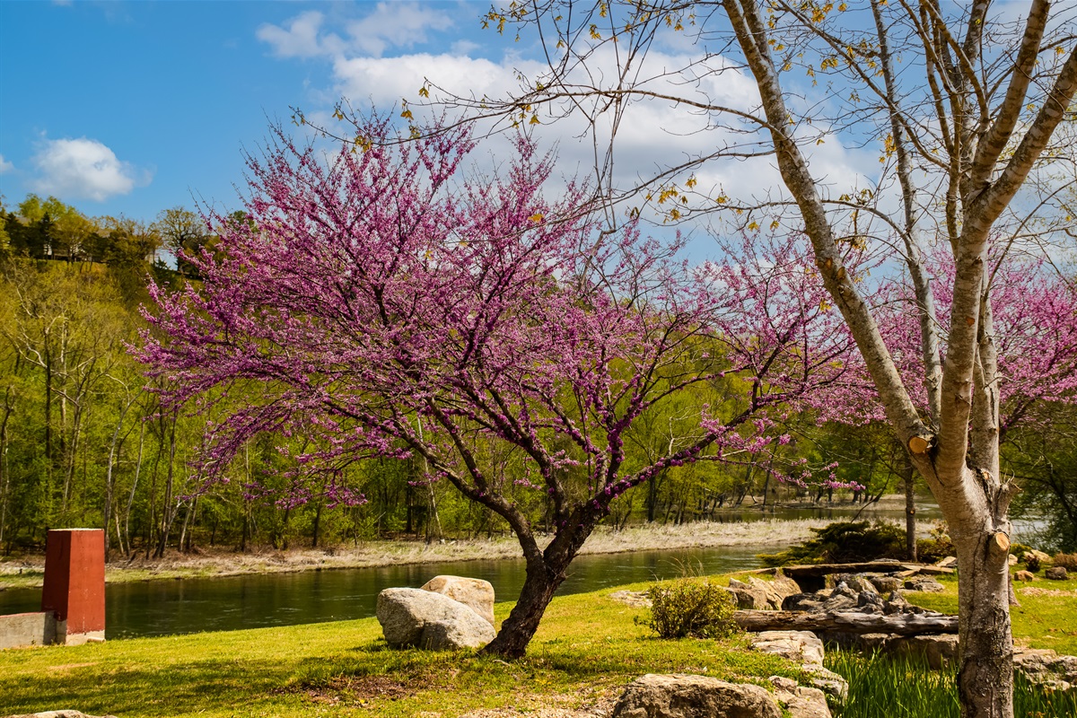 The beauty of nature surrounds you at Trophy Run