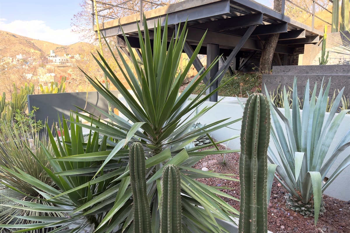 Outdoor Planting Area