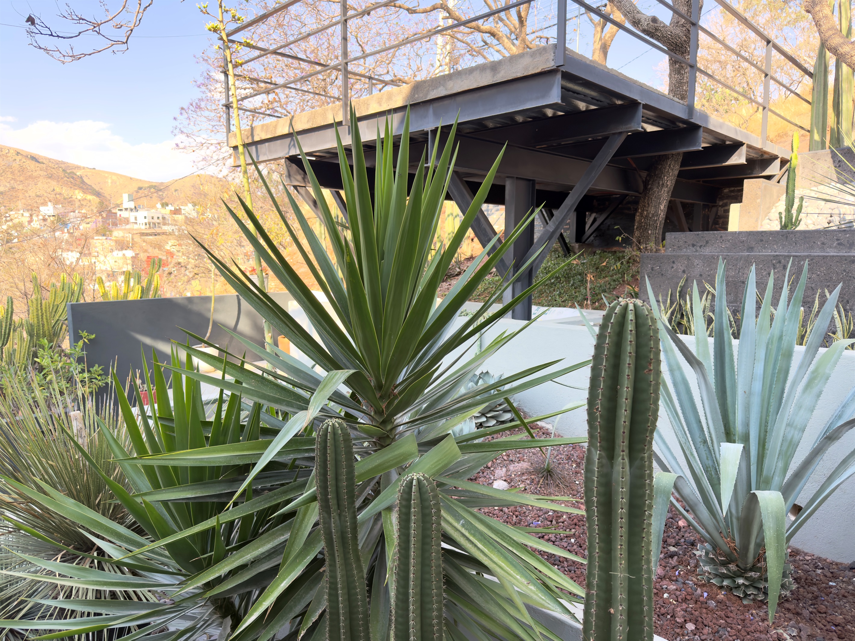 Outdoor Planting Area