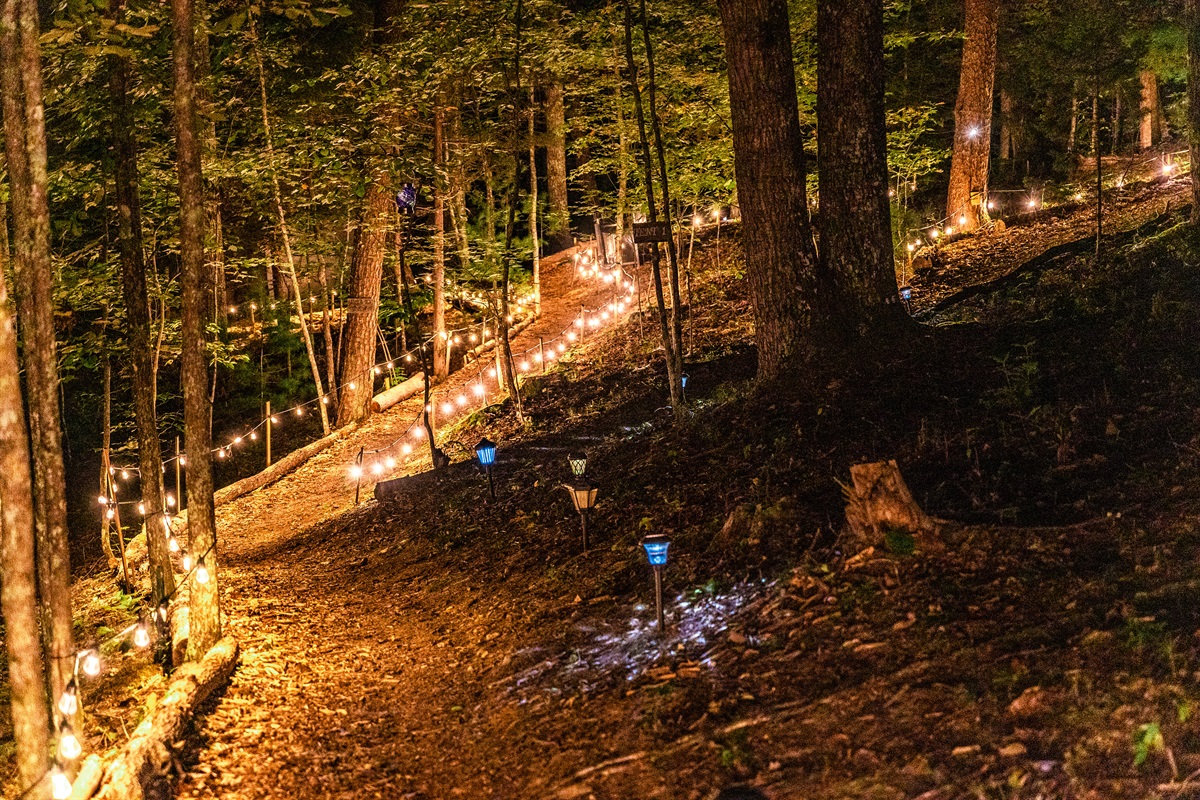 Walkway for tents at night time. 