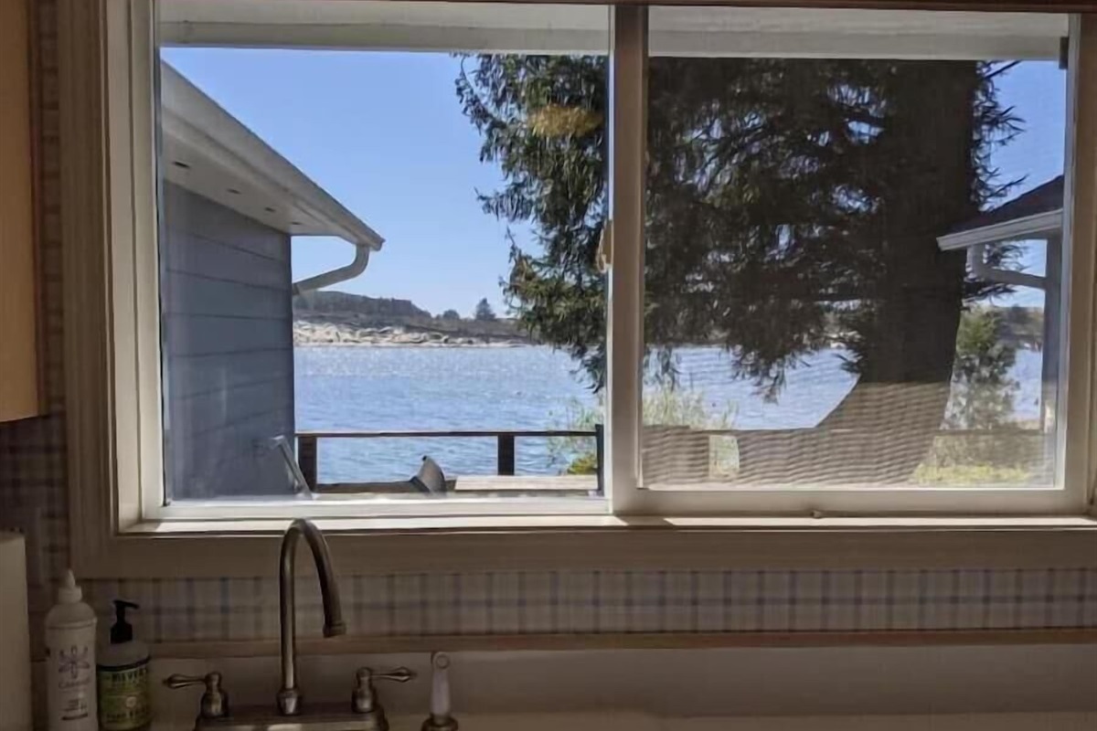 view from the kitchen sink