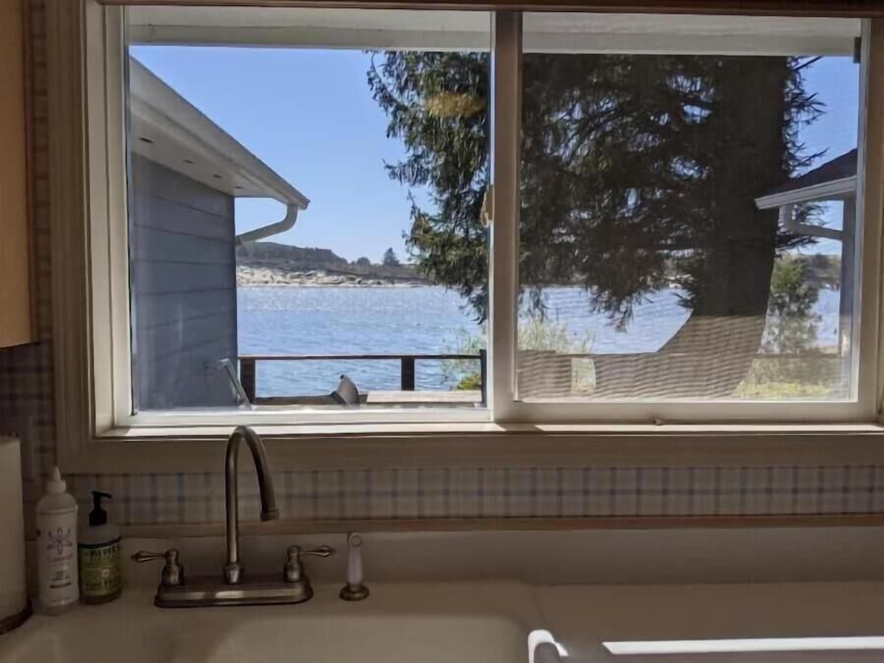 view from the kitchen sink