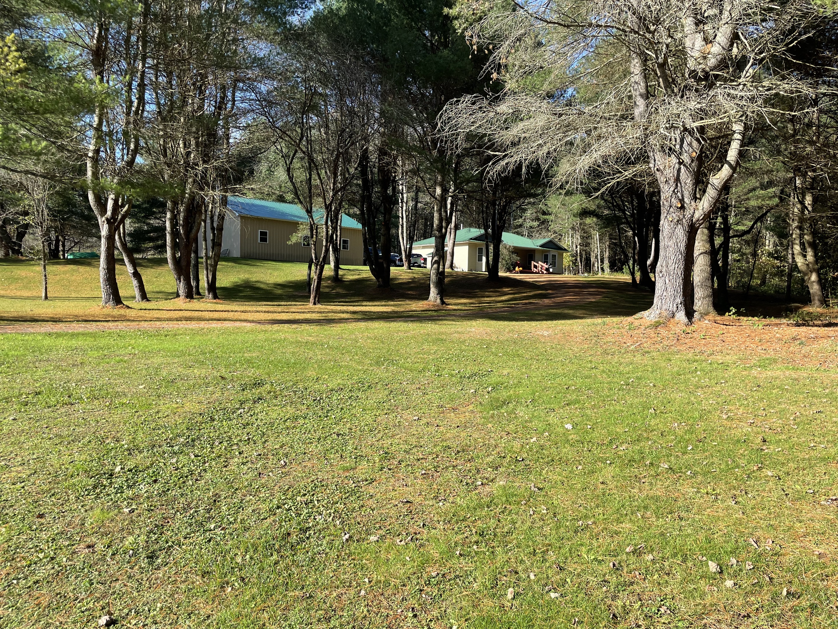 Plenty of grass to play