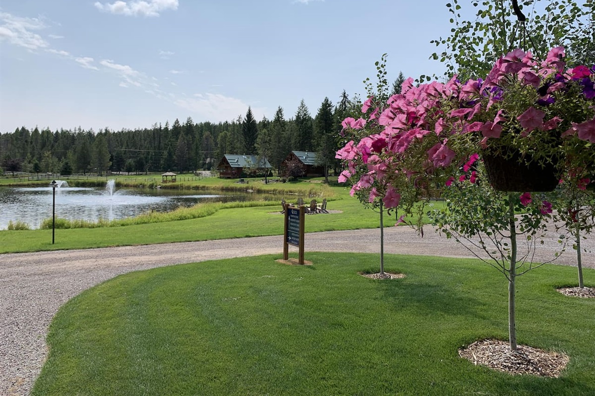 View of front pond from gift shop