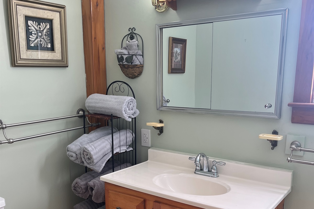 1st floor bath with tub/shower