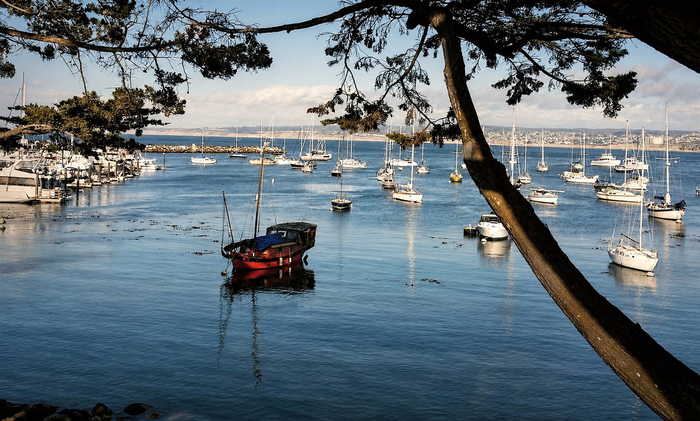 Beautiful coastal views of Monterey Bay (photo by host)